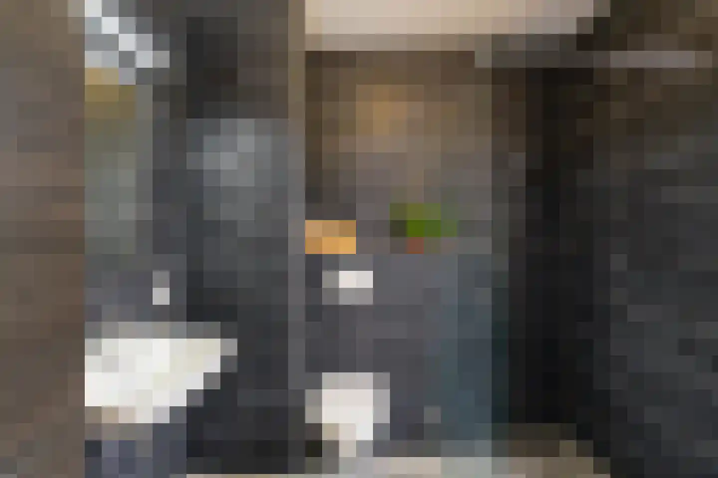 Einthovenlaan 3 Groningen thumbnail 33