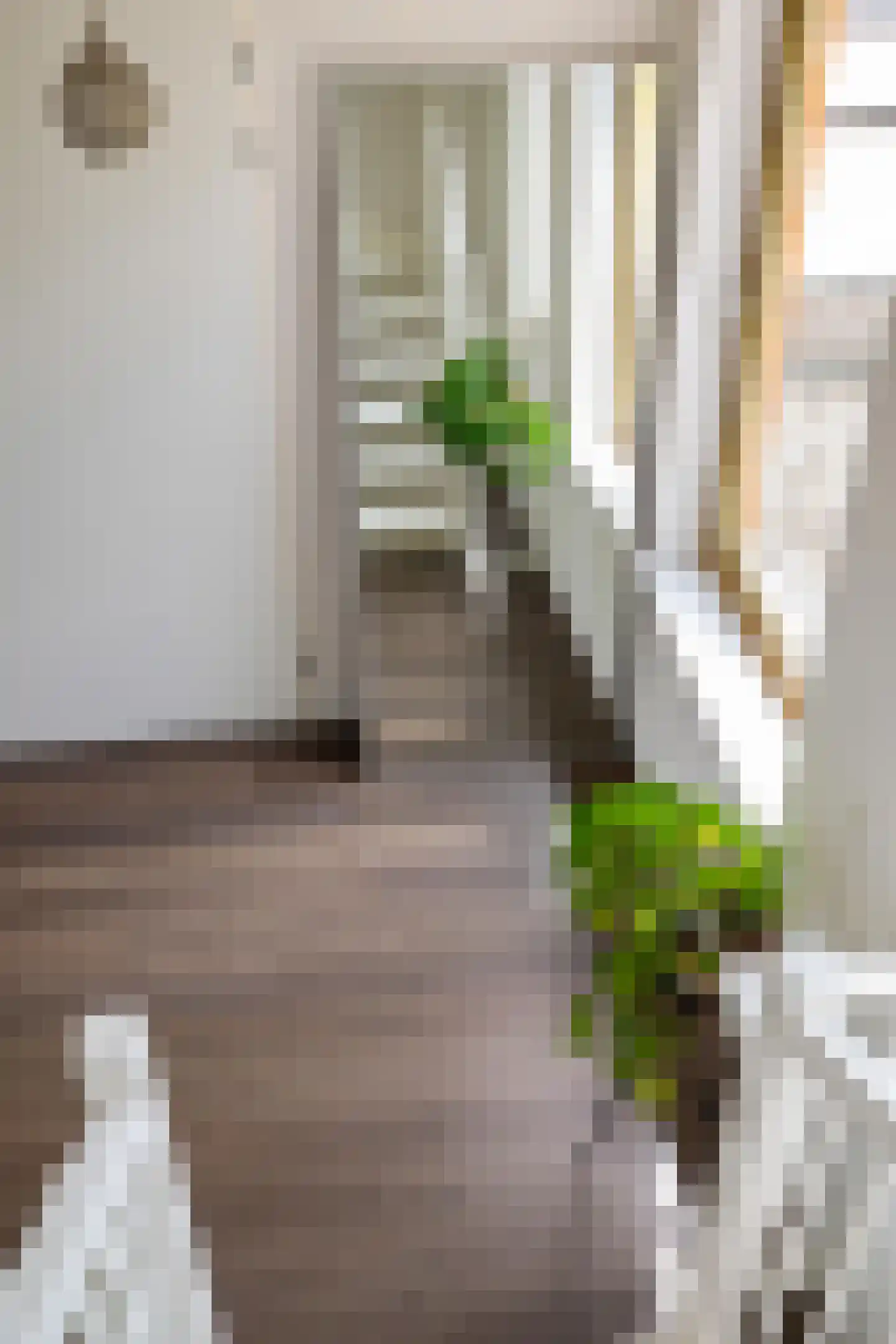 Einthovenlaan 3 Groningen thumbnail 40