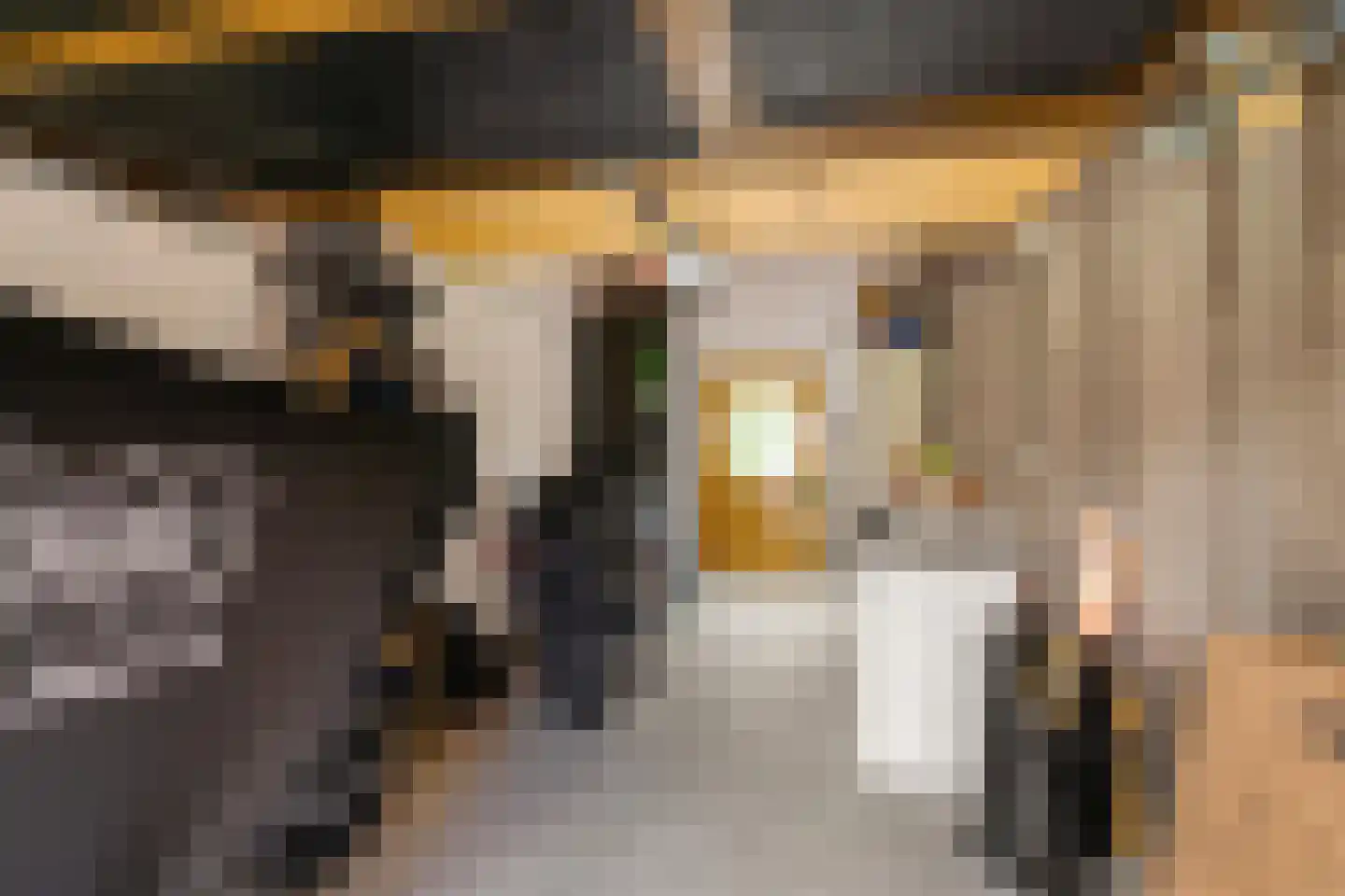 Einthovenlaan 3 Groningen thumbnail 43