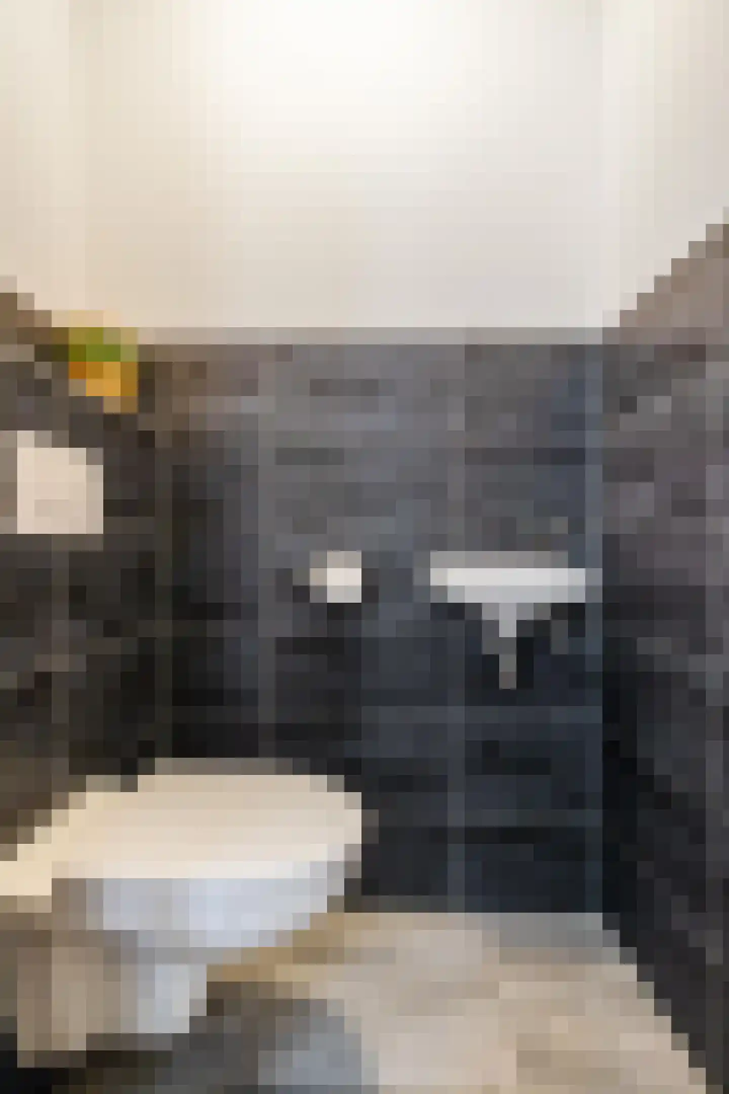 Einthovenlaan 3 Groningen thumbnail 9