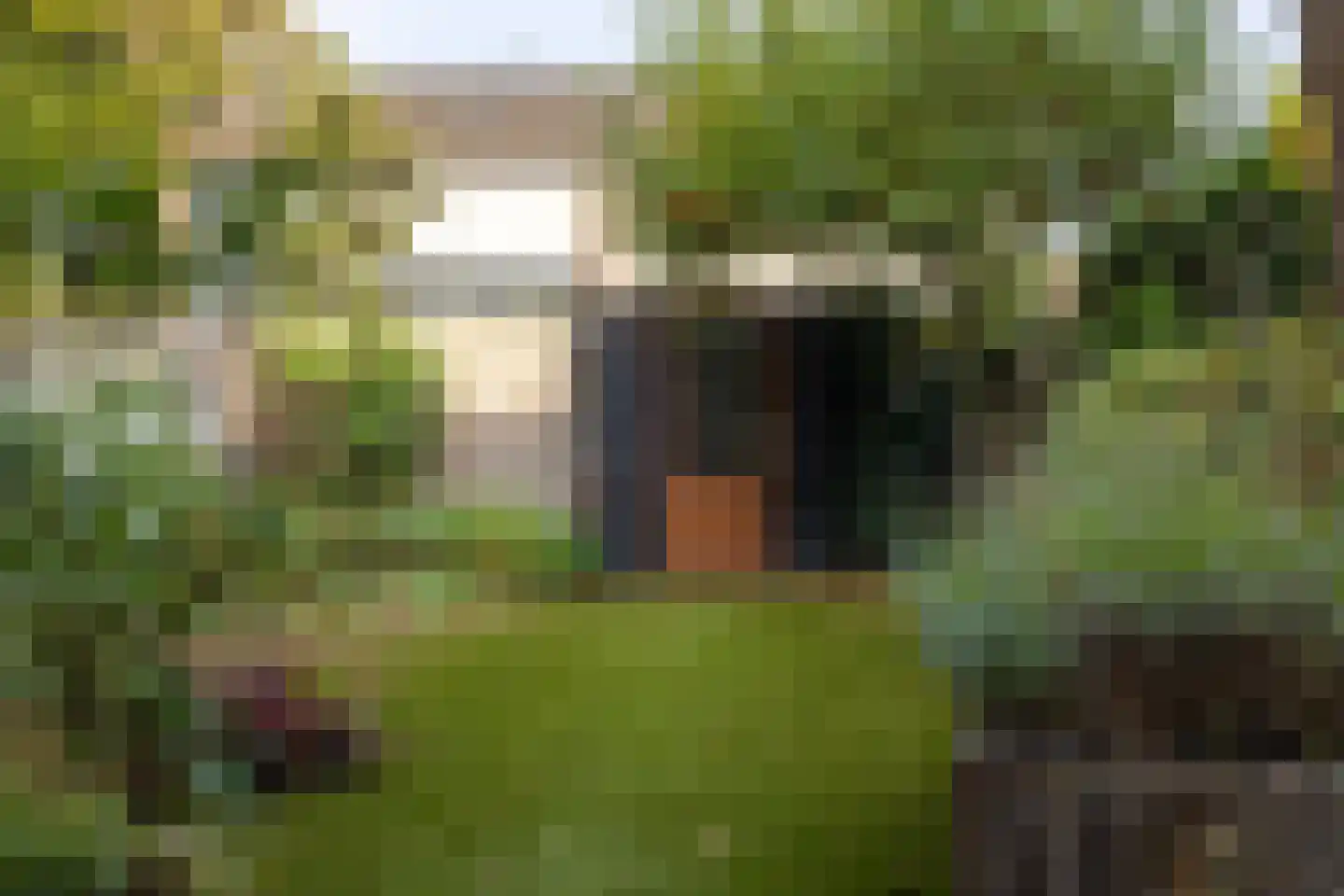 Einthovenlaan 36 Doetinchem thumbnail 14
