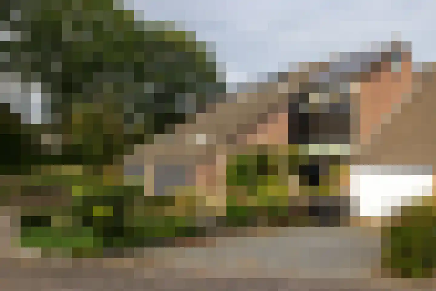 Einthovenlaan 36 Doetinchem thumbnail 18