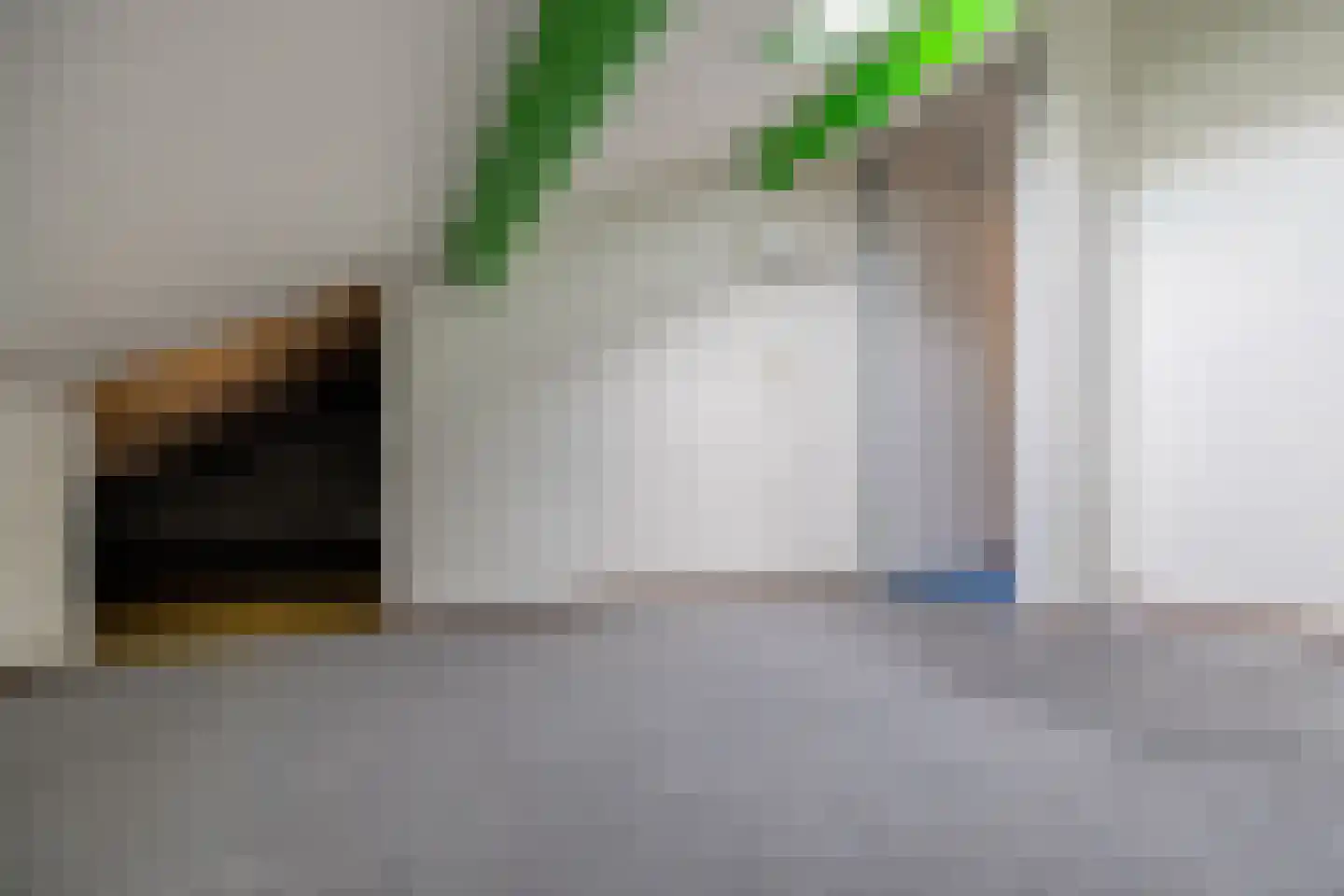 Einthovenlaan 36 Doetinchem thumbnail 47