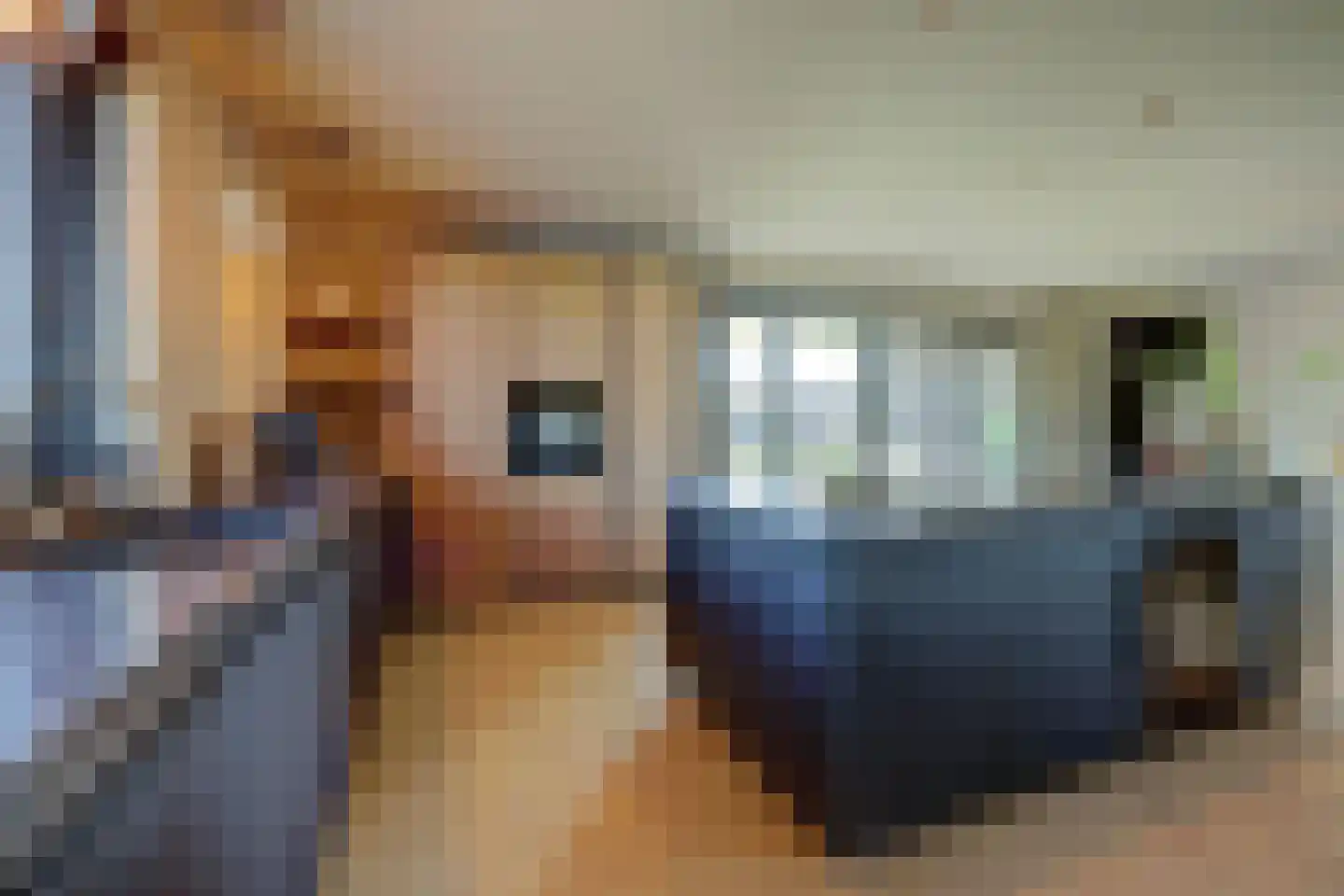 Einthovenlaan 78 Almelo thumbnail 18