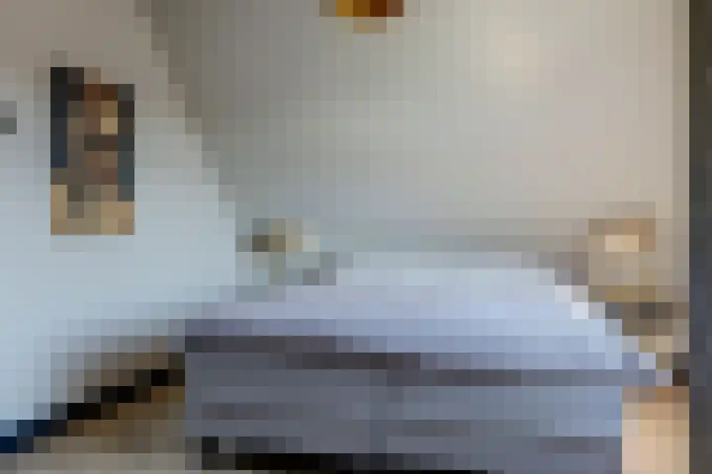 Einthovenlaan 78 Almelo thumbnail 25