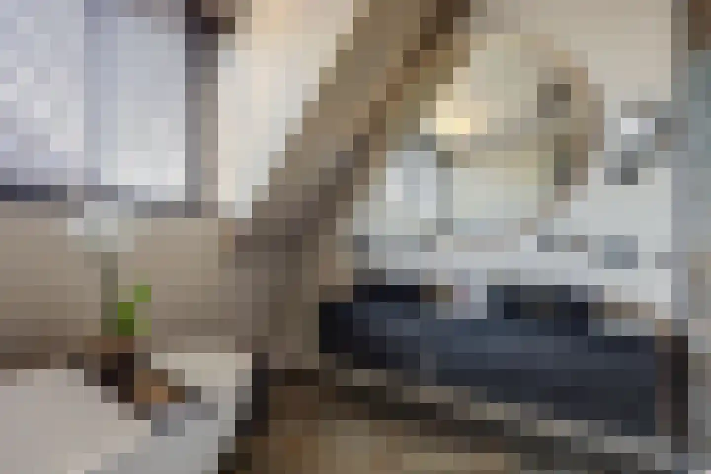 Einthovenlaan 78 Almelo thumbnail 35