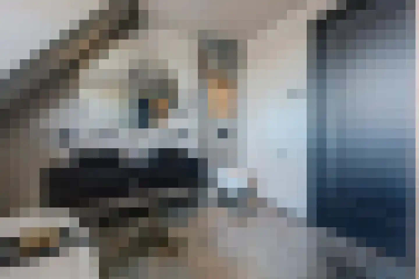 Einthovenlaan 78 Almelo thumbnail 36