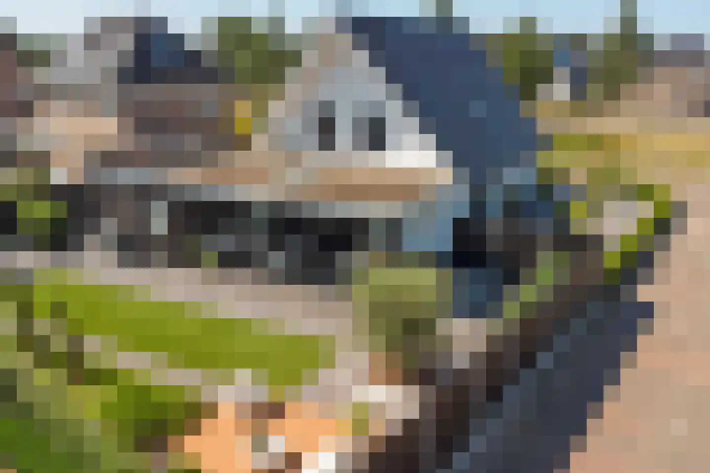 Einthovenlaan 78 Almelo thumbnail 52