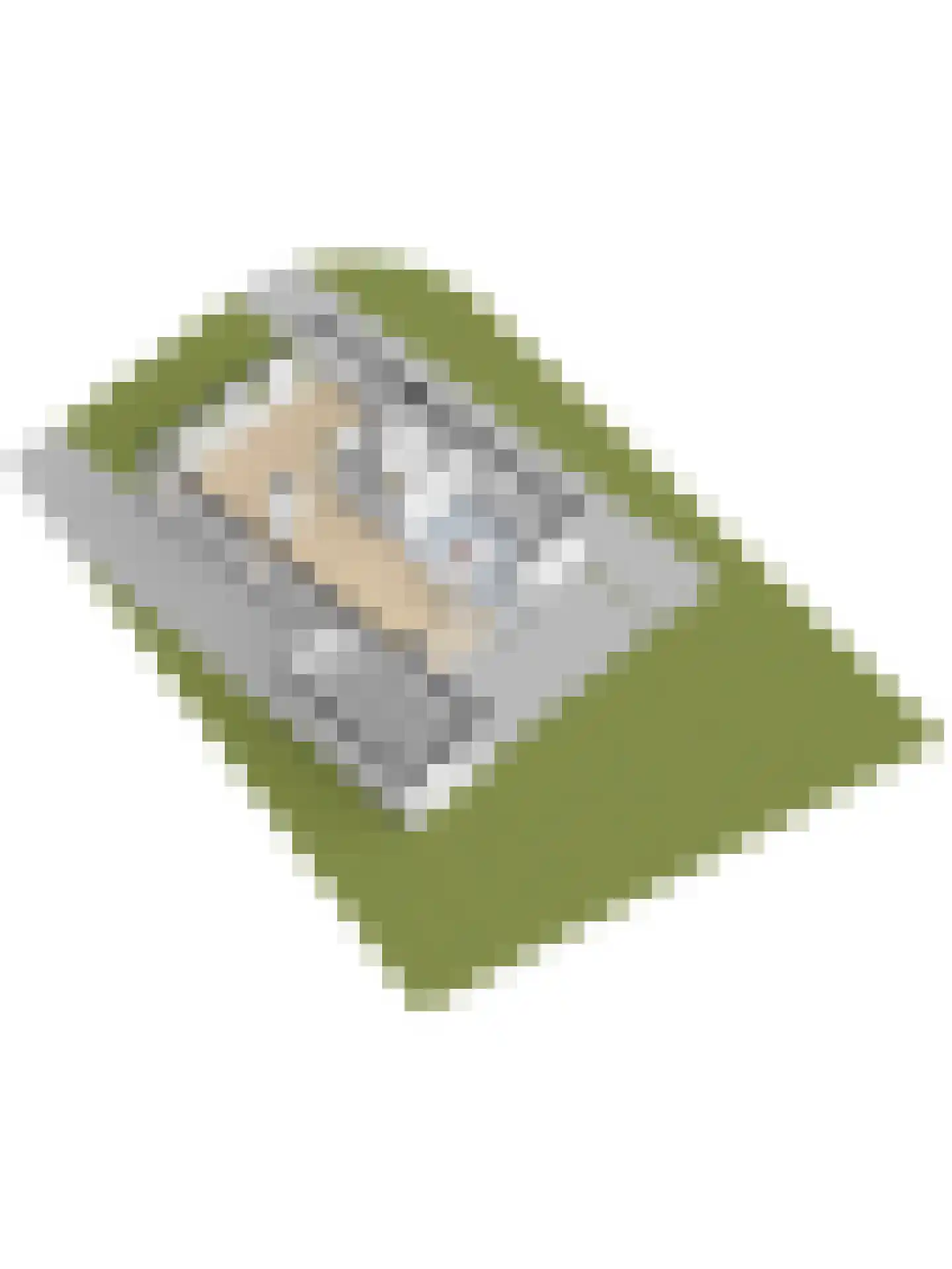 Einthovenlaan 78 Almelo thumbnail 65