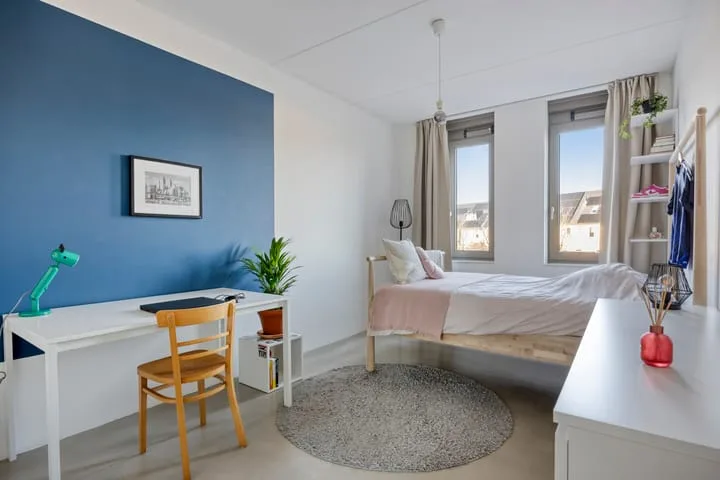 Einthovenpad 43 Rotterdam thumbnail 13