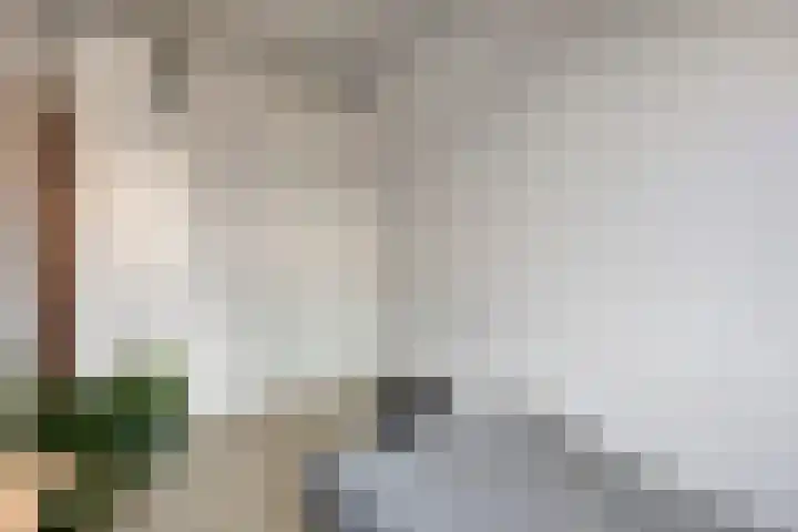 Einthovenpad 43 Rotterdam thumbnail 18