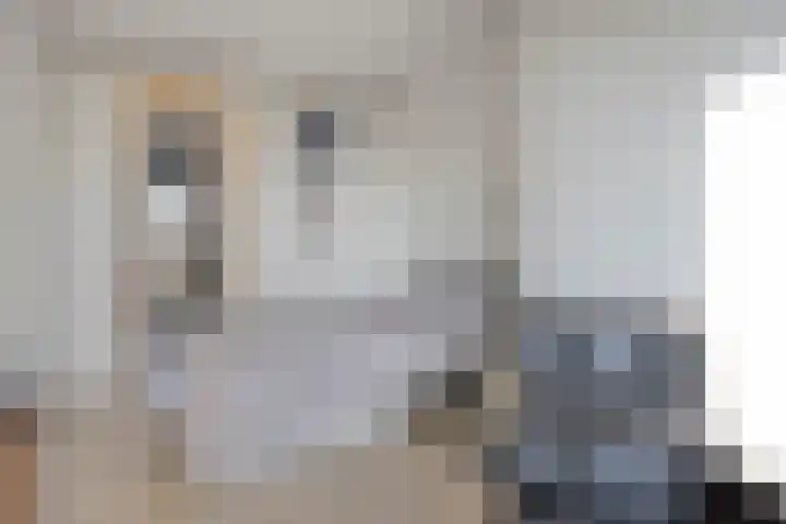 Einthovenpad 43 Rotterdam thumbnail 27