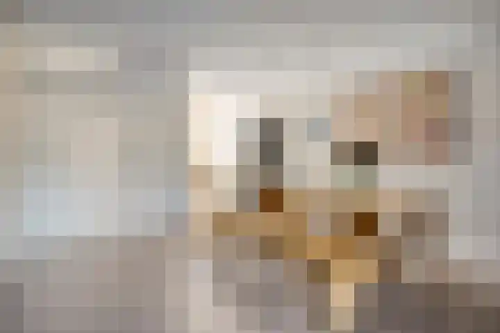 Einthovenpad 43 Rotterdam thumbnail 6