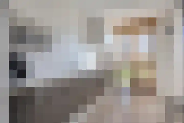 Einthovenpad 43 Rotterdam thumbnail 9
