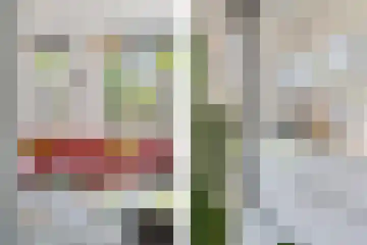 Einthovenpad 83 Rotterdam thumbnail 17