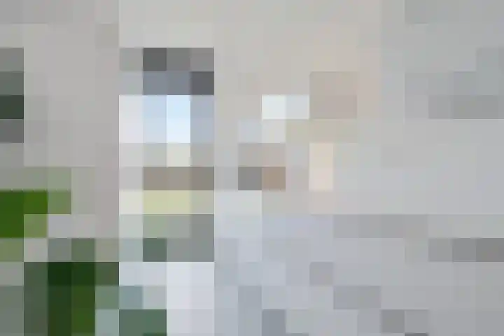 Einthovenpad 83 Rotterdam thumbnail 18