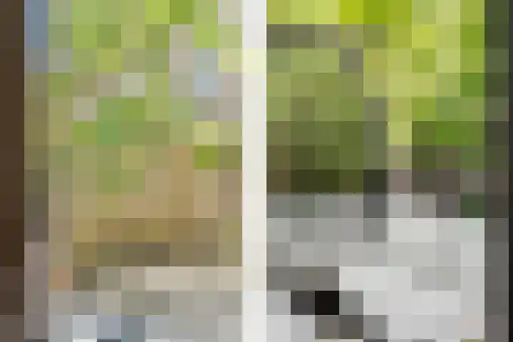 Einthovenpad 83 Rotterdam thumbnail 22