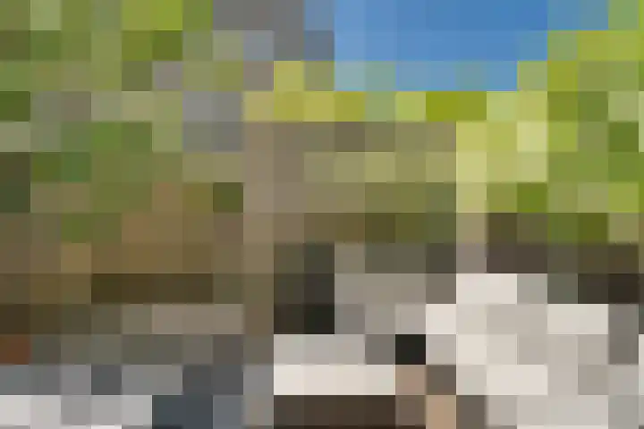 Einthovenpad 83 Rotterdam thumbnail 23