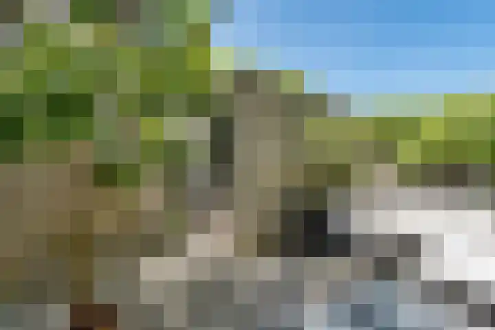 Einthovenpad 83 Rotterdam thumbnail 24