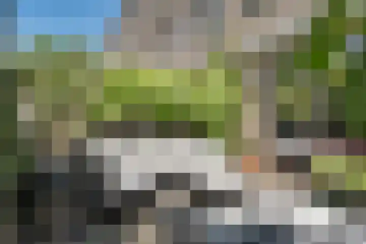 Einthovenpad 83 Rotterdam thumbnail 25