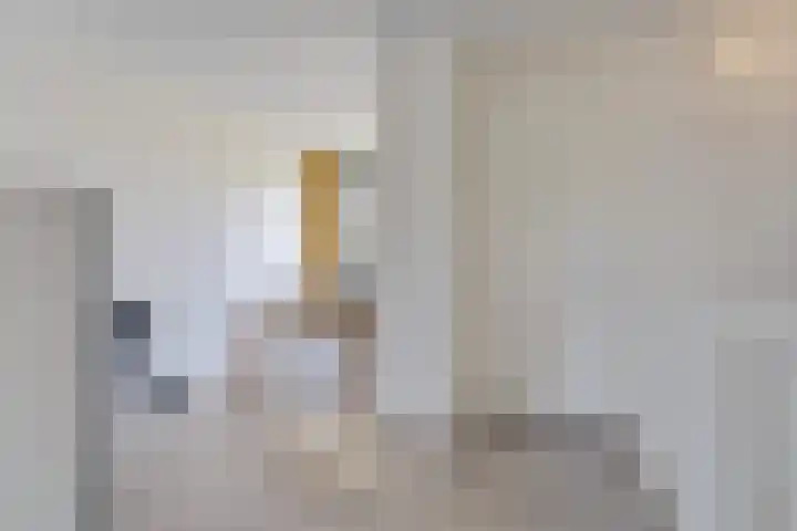 Einthovenpad 83 Rotterdam thumbnail 38