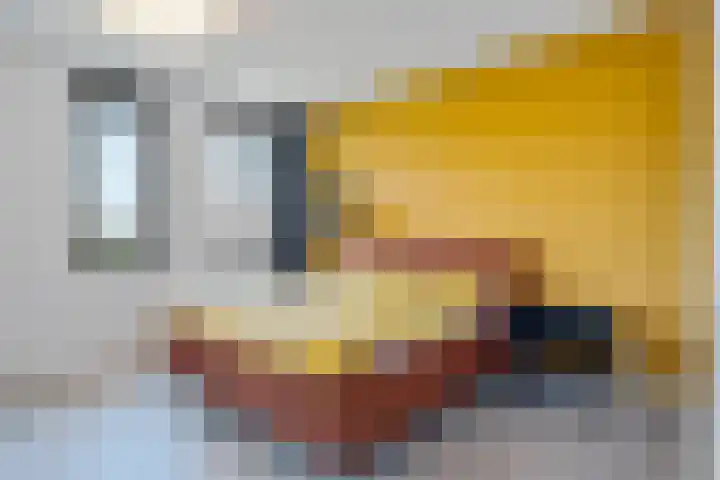 Einthovenpad 83 Rotterdam thumbnail 44