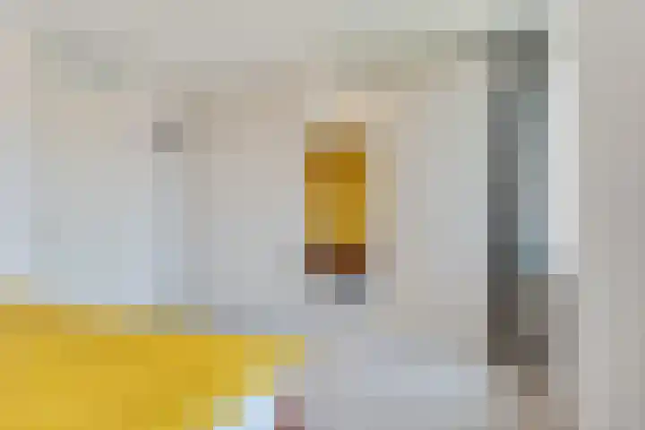 Einthovenpad 83 Rotterdam thumbnail 46