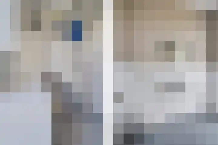Einthovenpad 83 Rotterdam thumbnail 48