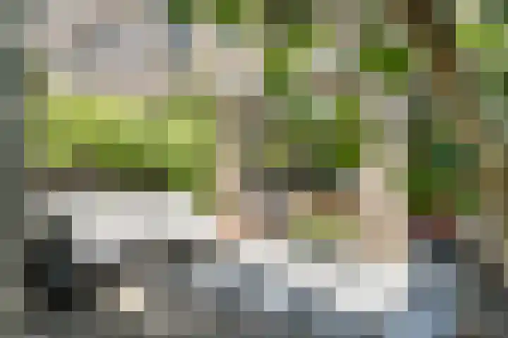 Einthovenpad 83 Rotterdam thumbnail 5