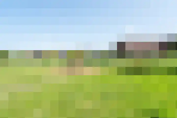 Einthovenpad 83 Rotterdam thumbnail 54