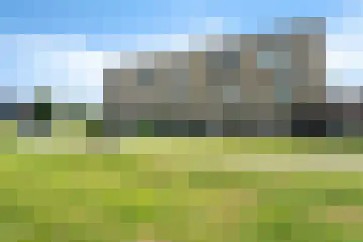 Einthovenpad 83 Rotterdam thumbnail 55