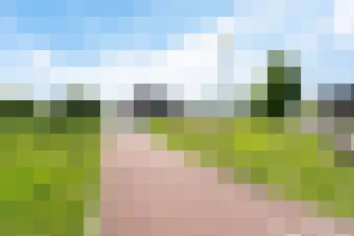 Einthovenpad 83 Rotterdam thumbnail 57