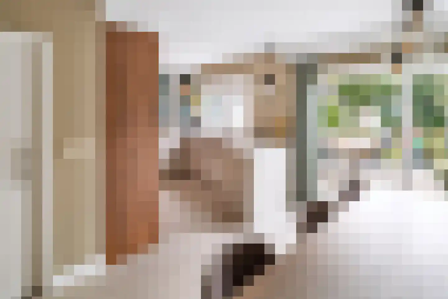 Einthovenstraat 1 Helmond thumbnail 10