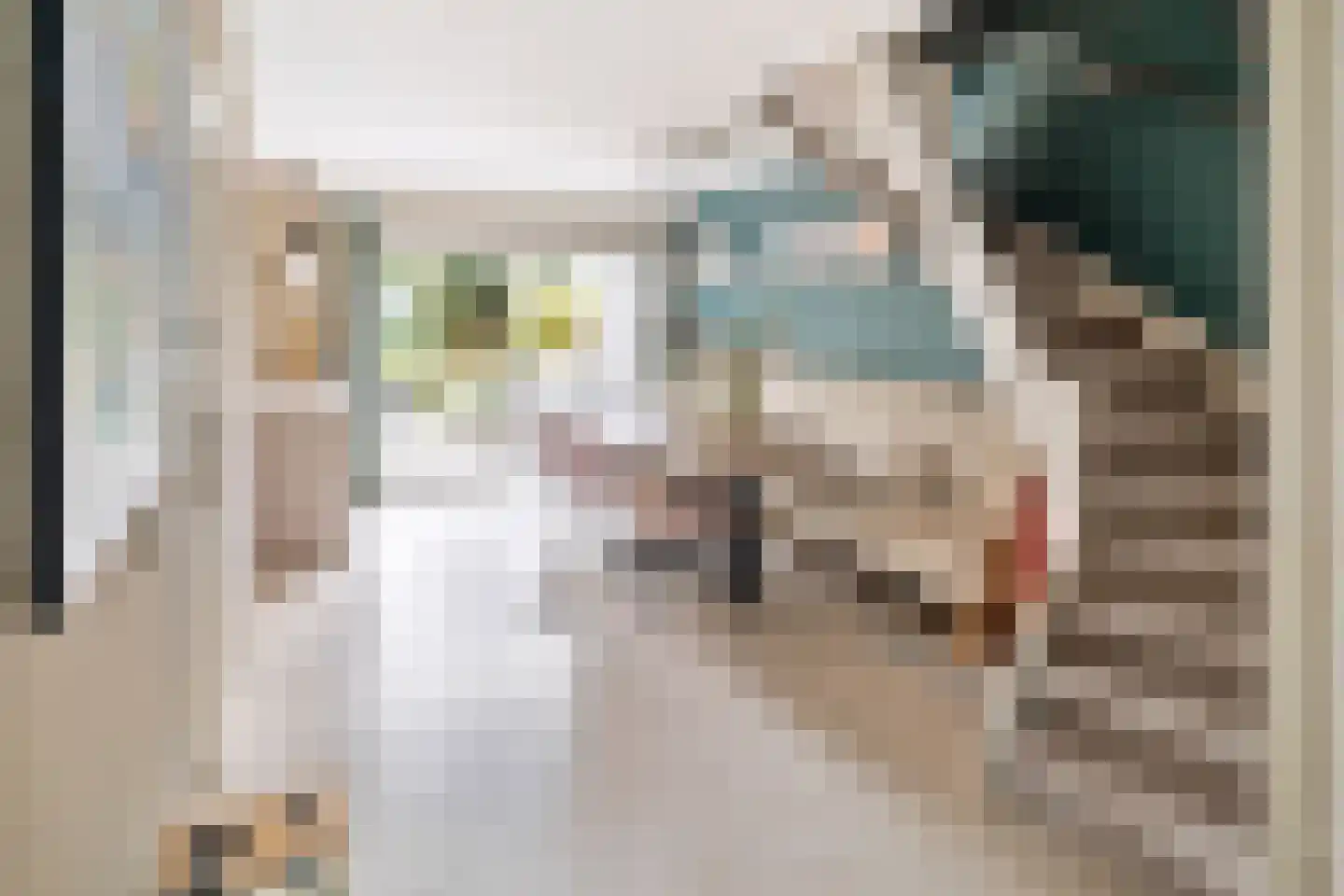 Einthovenstraat 1 Helmond thumbnail 11