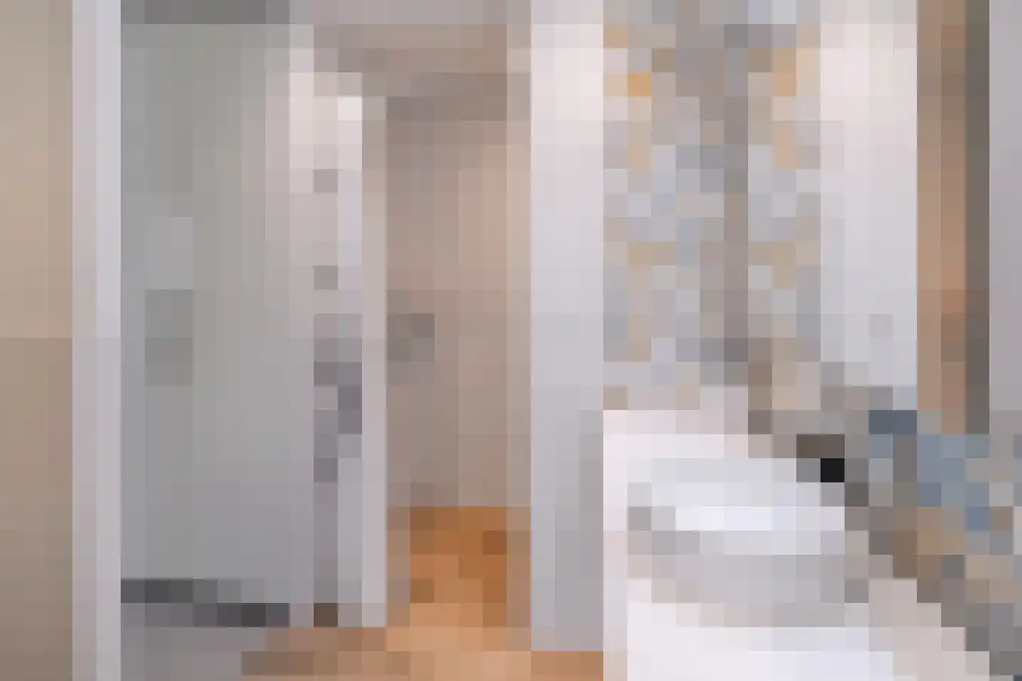 Einthovenstraat 1 Helmond thumbnail 22