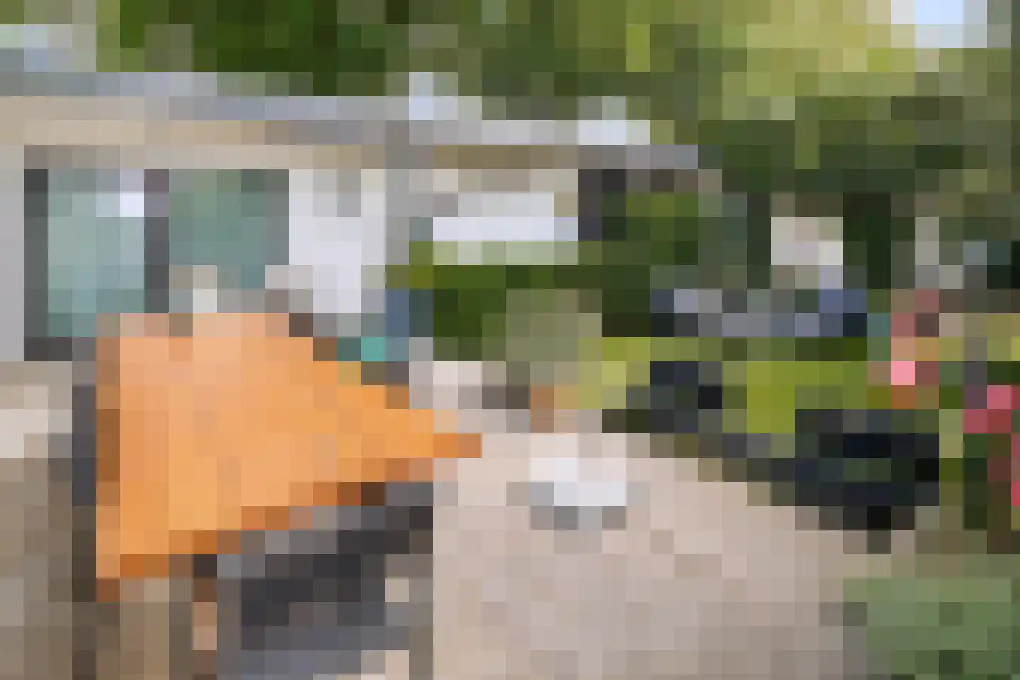 Einthovenstraat 1 Helmond thumbnail 4