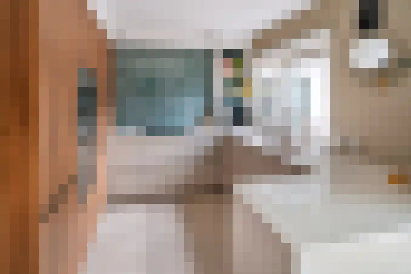 Einthovenstraat 1 Helmond thumbnail 9