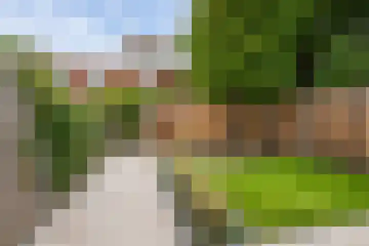 Einthovenstraat 17 Vlaardingen thumbnail 22