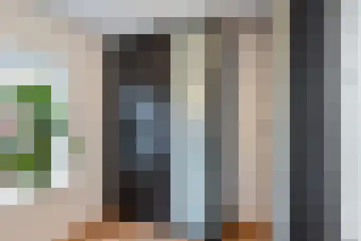 Einthovenstraat 17 Vlaardingen thumbnail 30