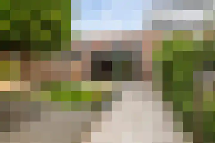 Einthovenstraat 17 Vlaardingen thumbnail 6