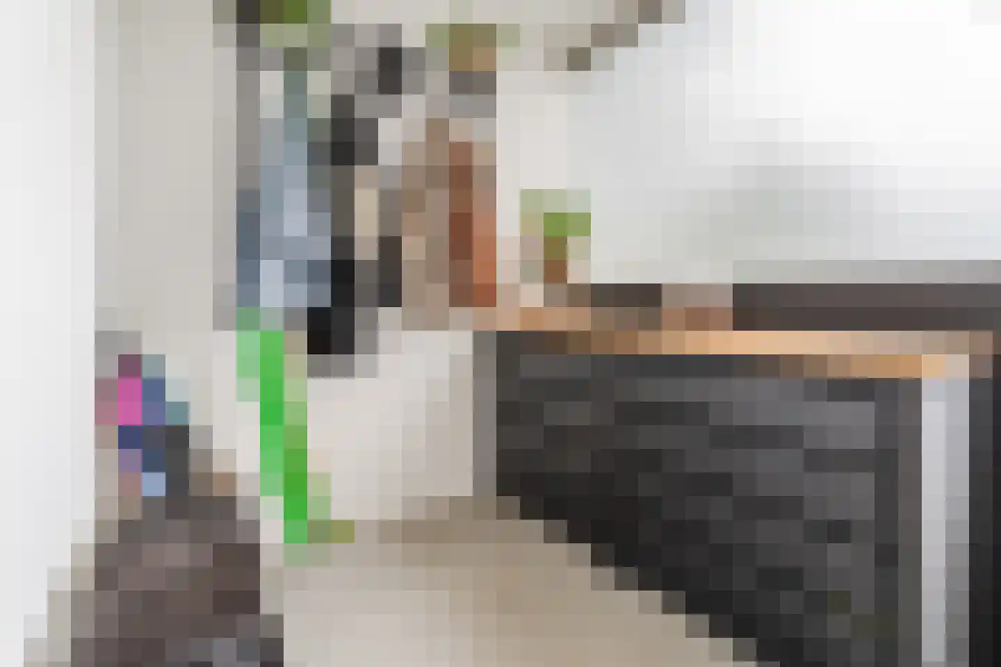 Einthovenstraat 19 Vlaardingen thumbnail 12
