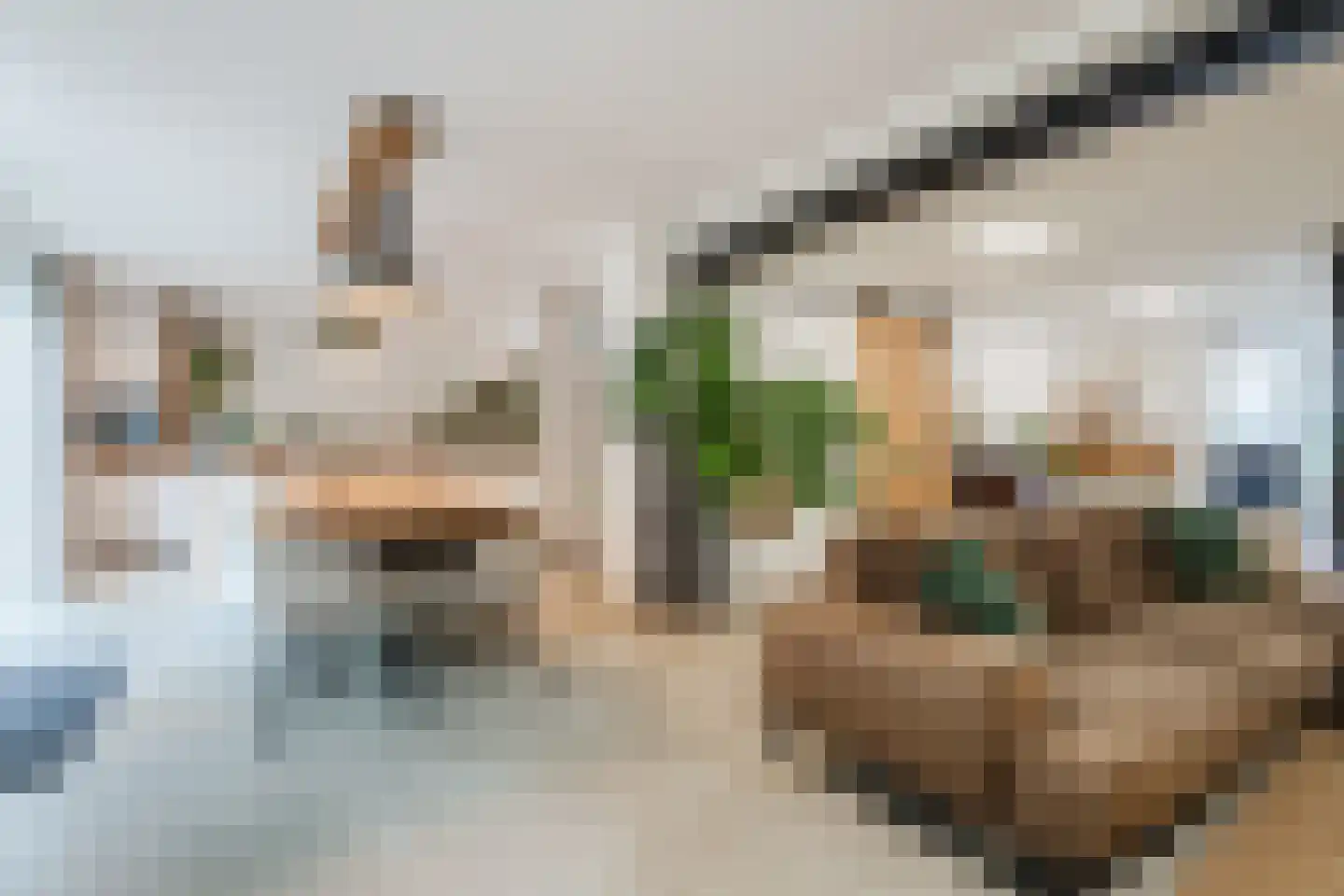 Einthovenstraat 19 Vlaardingen thumbnail 18