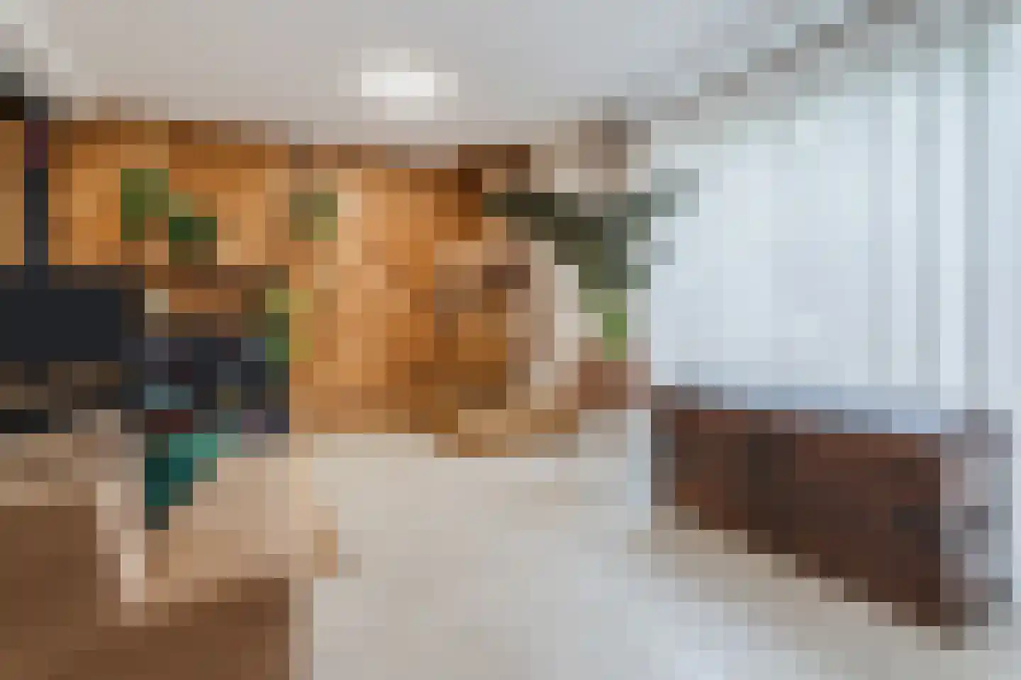 Einthovenstraat 19 Vlaardingen thumbnail 20