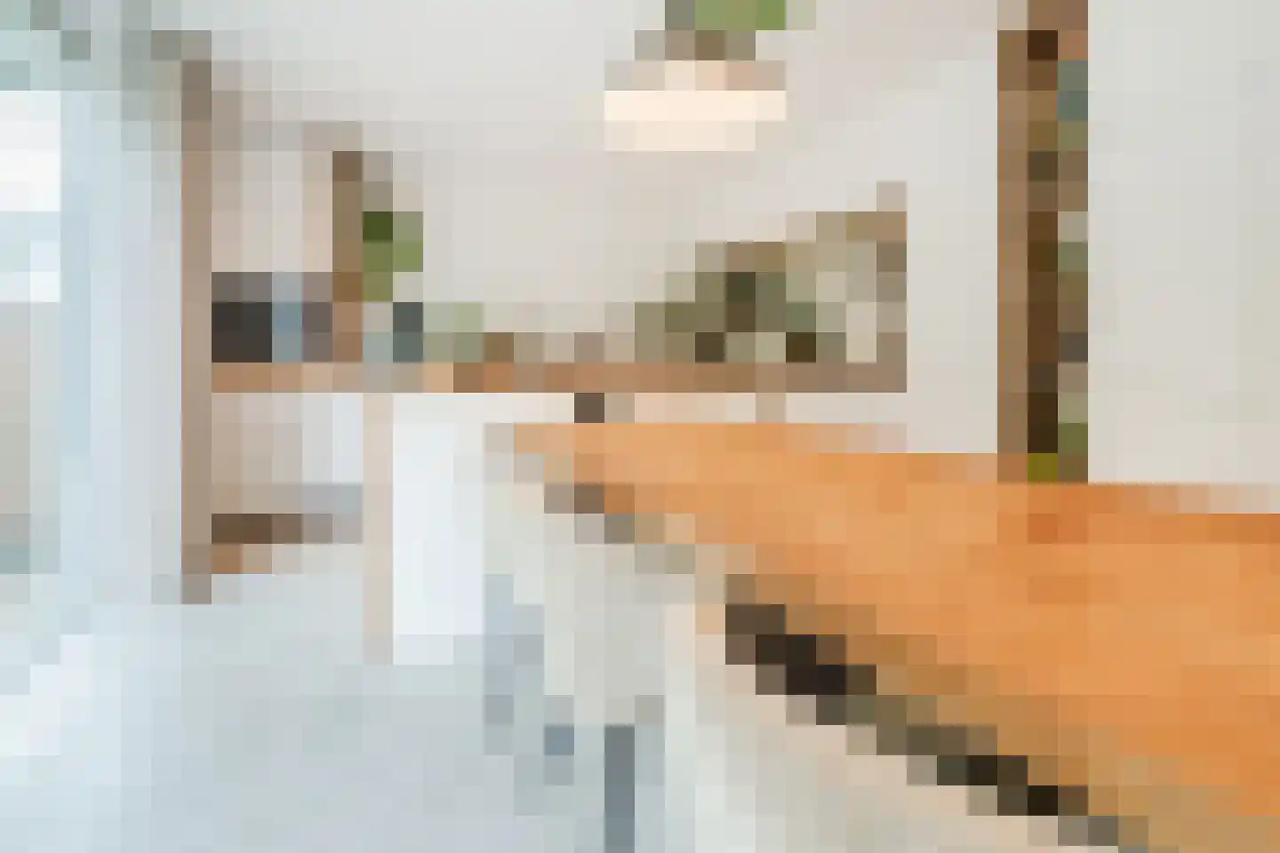 Einthovenstraat 19 Vlaardingen thumbnail 21