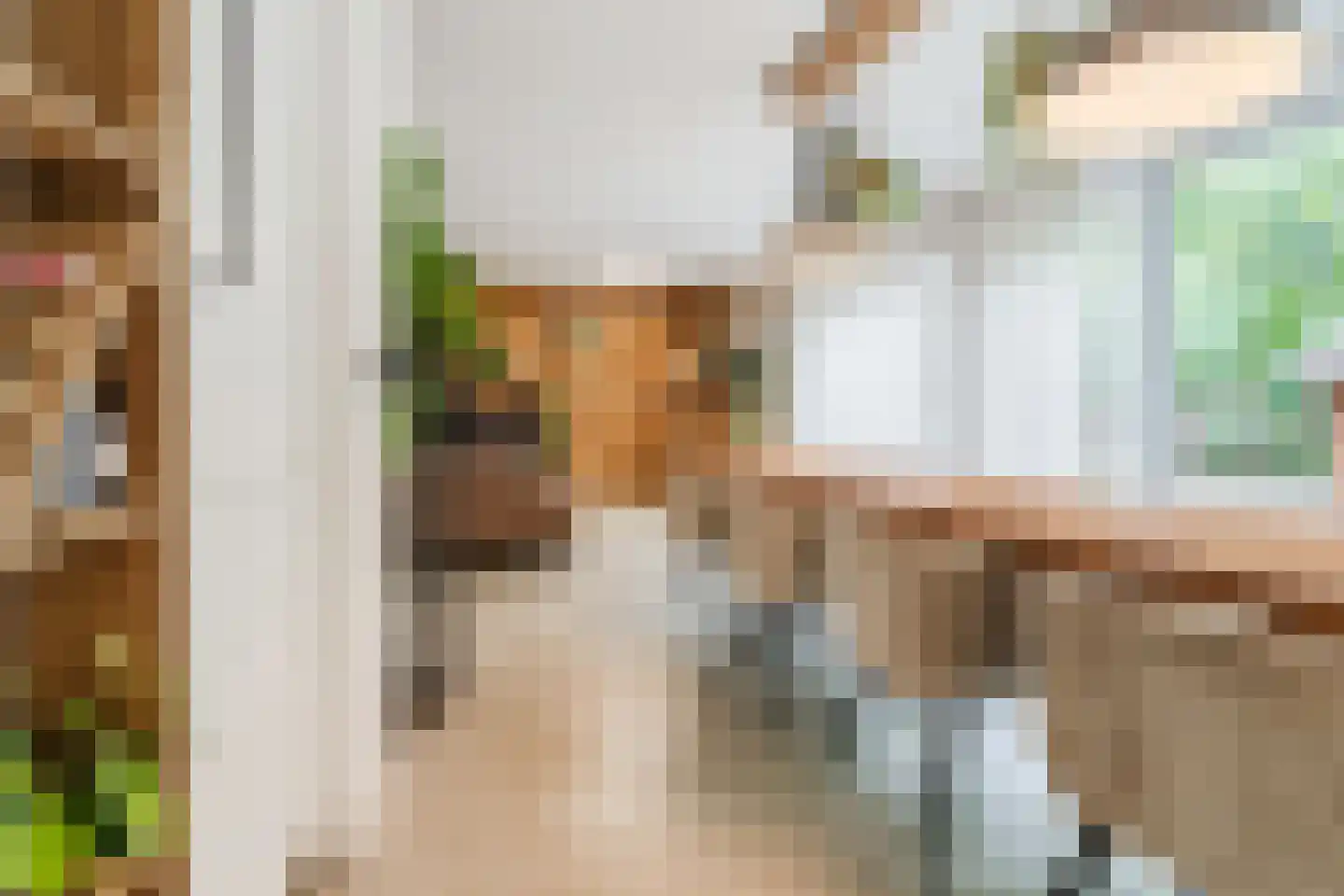 Einthovenstraat 19 Vlaardingen thumbnail 22