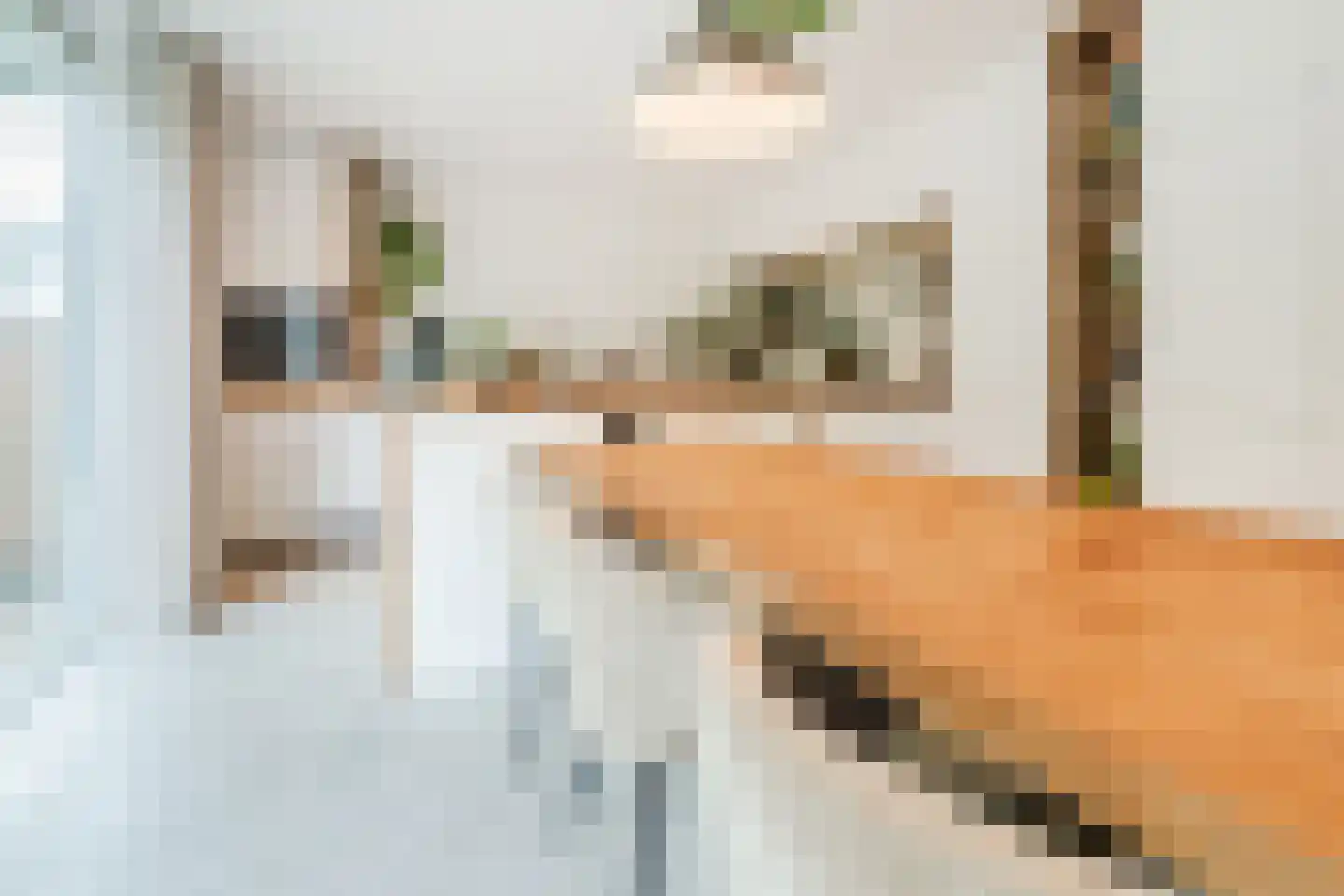 Einthovenstraat 19 Vlaardingen thumbnail 22