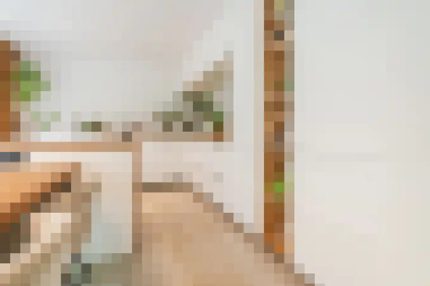 Einthovenstraat 19 Vlaardingen thumbnail 23