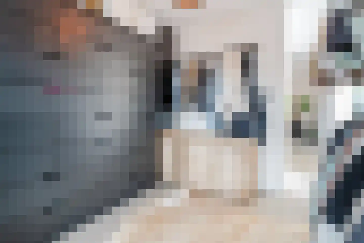 Einthovenstraat 19 Vlaardingen thumbnail 35
