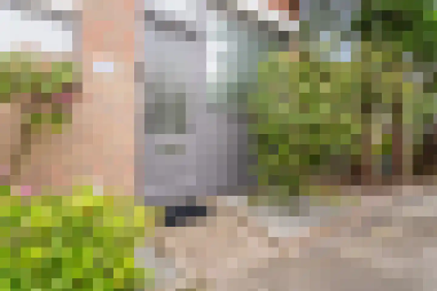 Einthovenstraat 19 Vlaardingen thumbnail 7