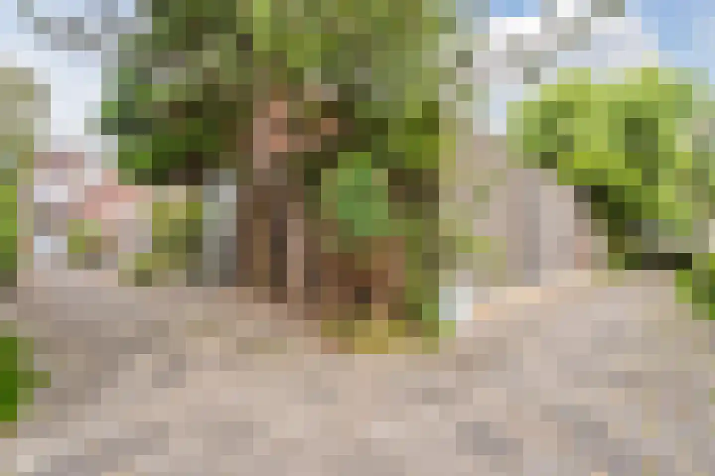Einthovenstraat 19 Vlaardingen thumbnail 9